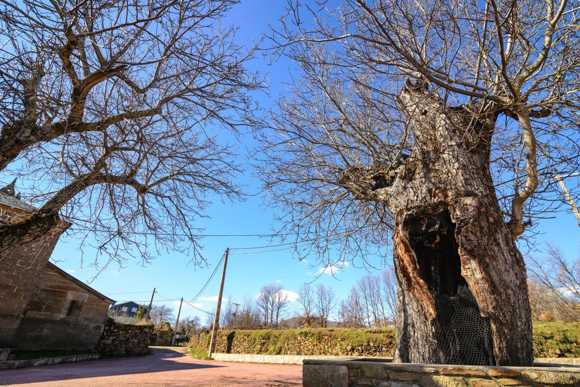 Casas Rurales San Justo 외부 사진